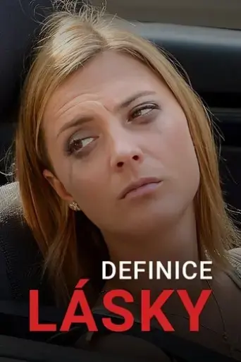 definice-lasky-2013