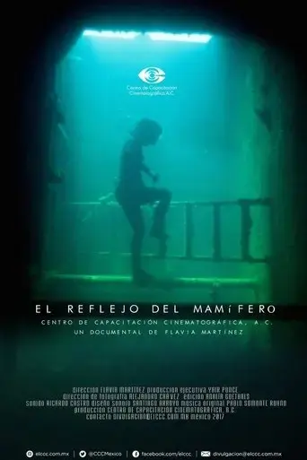 the-mammalian-reflex-2017