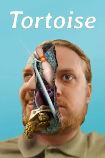 tortoise-2018