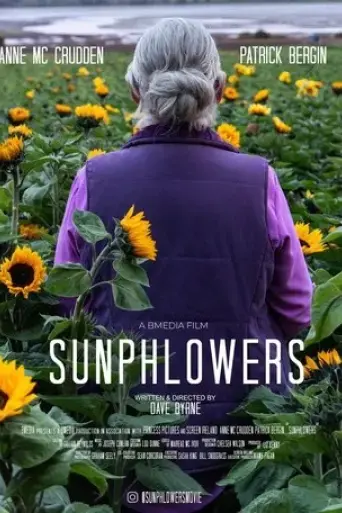 sunphlowers-2025