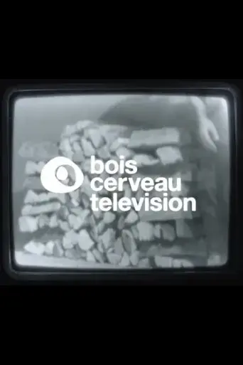 bois-cerveau-tv-1-2020