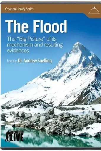 The Flood: The Big Picture of Its Mechanism and Resulting Evidences (2009)