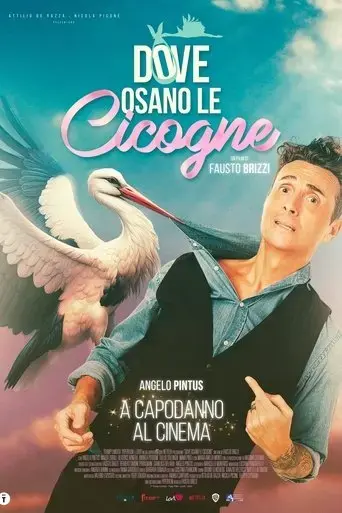 dove-osano-le-cicogne-2025