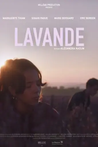 lavande-2020