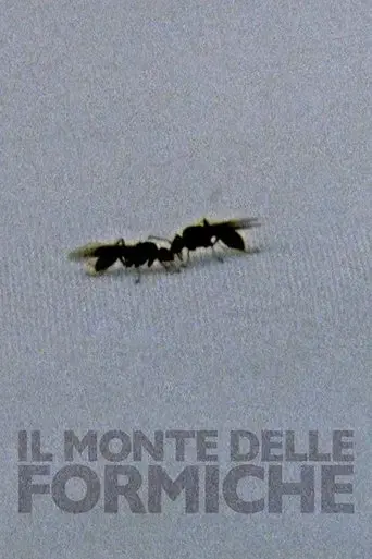 il-monte-delle-formiche-2017