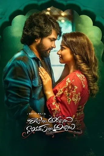 raju-gari-ammayi-naidu-gari-abbayi-2024