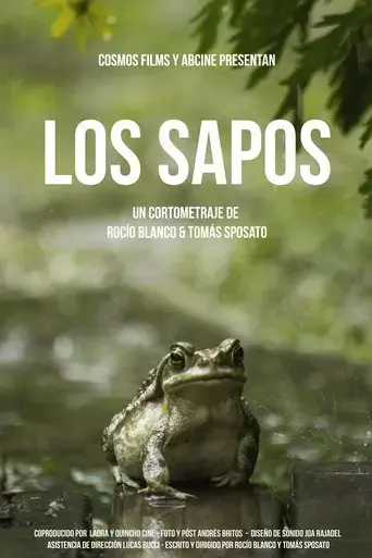 los-sapos-2019
