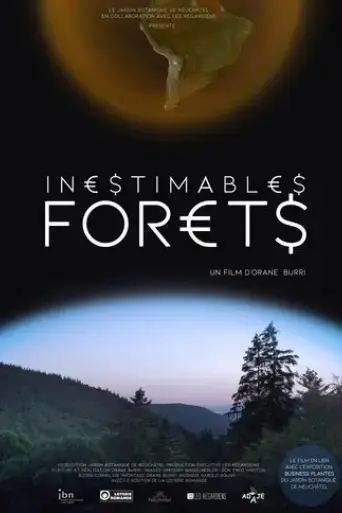 inestimables-forets-2024