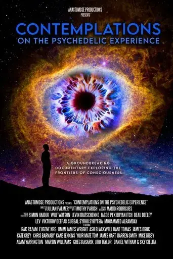 contemplations-on-the-psychedelic-experience-2022