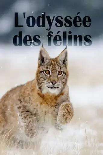 the-odyssey-of-felines-2015