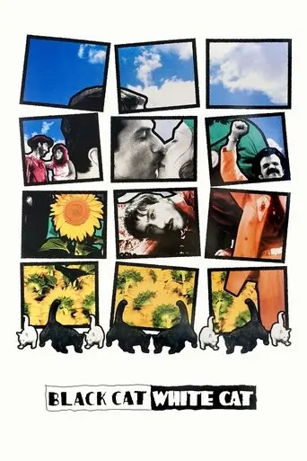 black-cat-white-cat-1998
