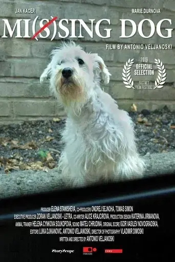 mi-s-sing-dog-2019