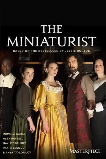 the-miniaturist-of-junagadh-2017