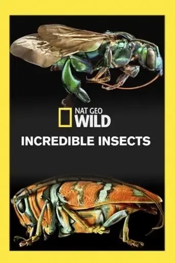 incredible-bugs-2016