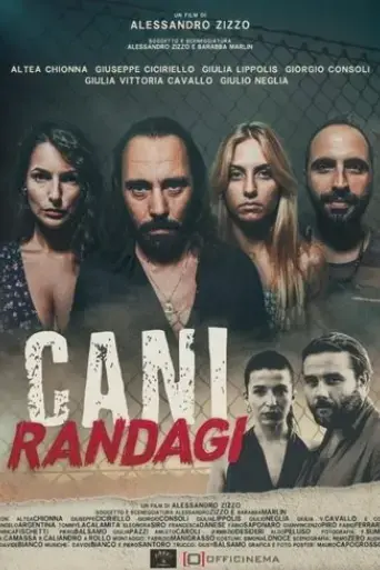 cani-randagi-2023