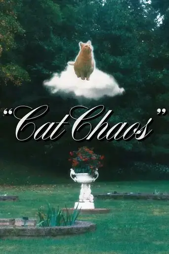 cat-chaos-2024