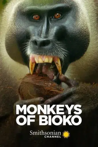 monkeys-of-bioko-2020