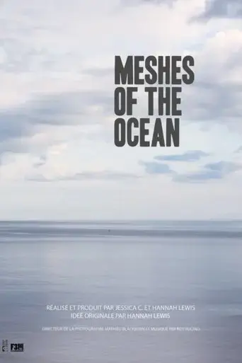 meshes-of-the-ocean-2017