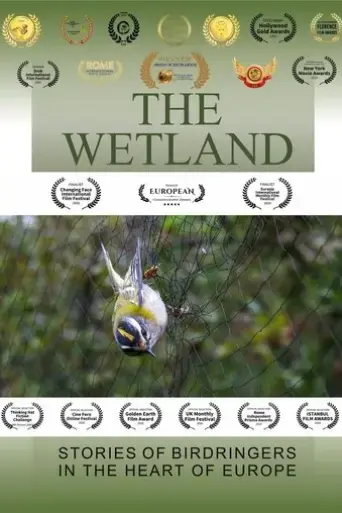 the-wetland-2020