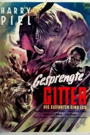 elephant-fury-1953