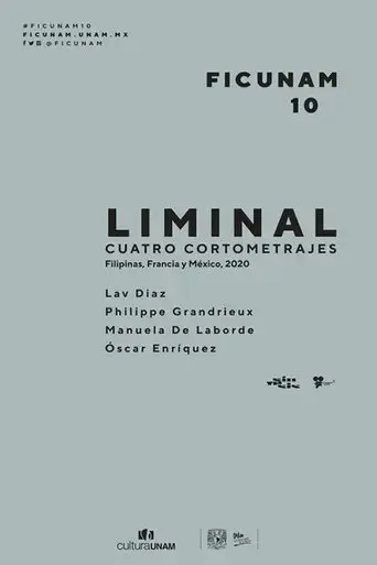 liminal-2020
