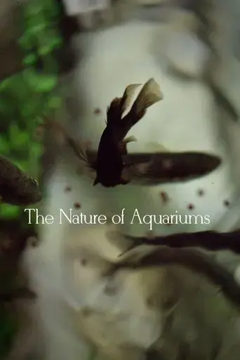 the-nature-of-aquariums-2020