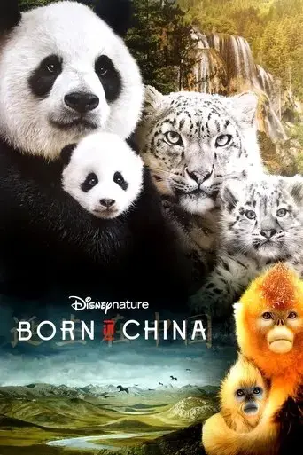 born-in-china-2016