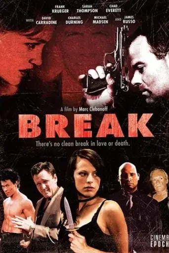break-2009
