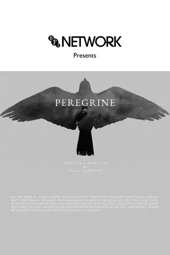peregrine-2023