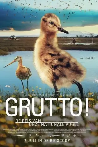 grutto-2022