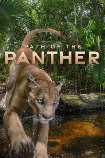 path-of-the-panther-2022