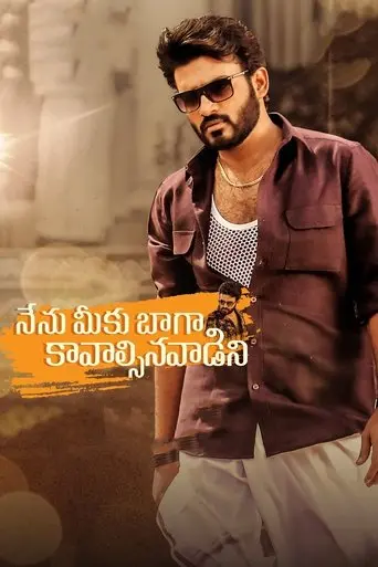 nenu-meeku-baaga-kavalsinavaadini-2022