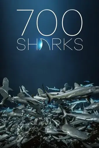 700-sharks-2018
