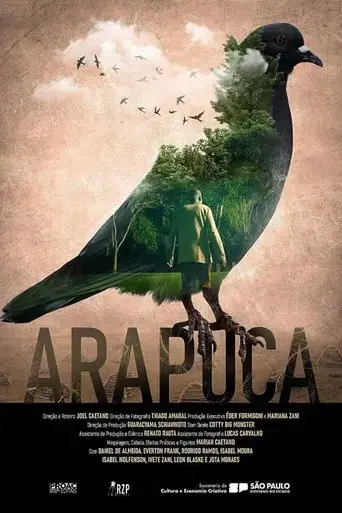 arapuca-2023