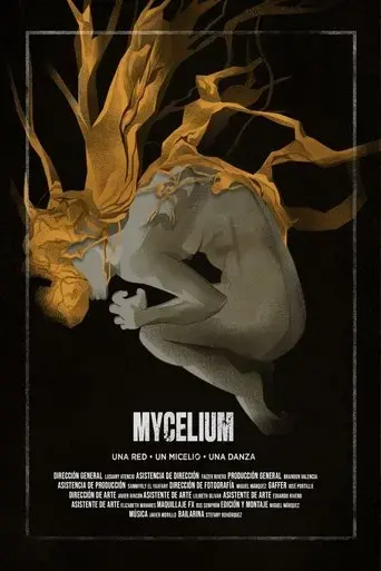 mycelium-2024