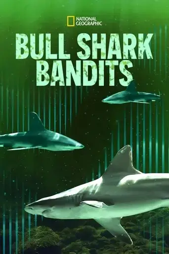 bull-shark-bandits-2023