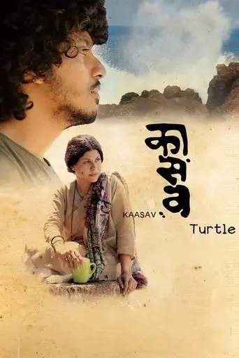 kaasav-turtle-2016