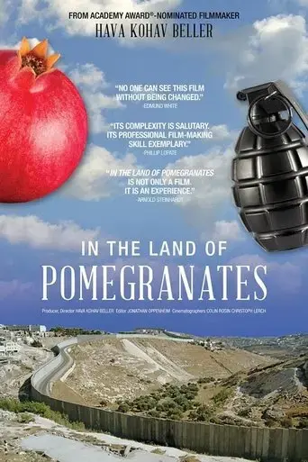 in-the-land-of-pomegranates-2018