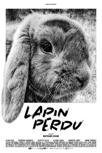 lapin-perdu-2019