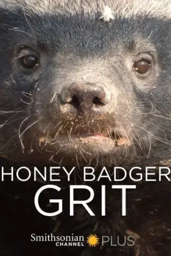 honey-badger-grit-2018