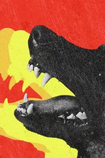 dogtooth-2024