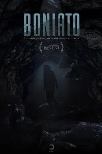 boniato-2016