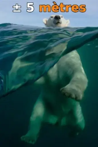 a-ou-5-metres-de-la-surface-des-oceans-2015