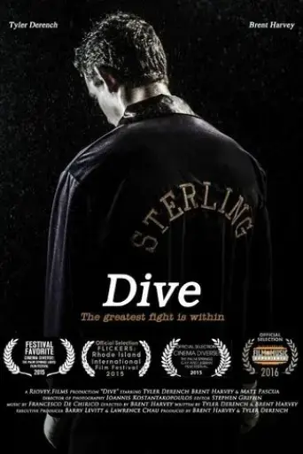 dive-2015