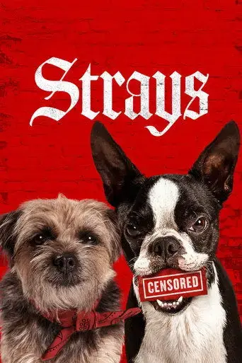 strays-2023
