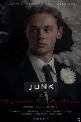 junk-its-connection-to-what-s-unknown-2021
