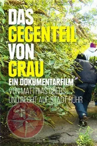 das-gegenteil-von-grau-2017