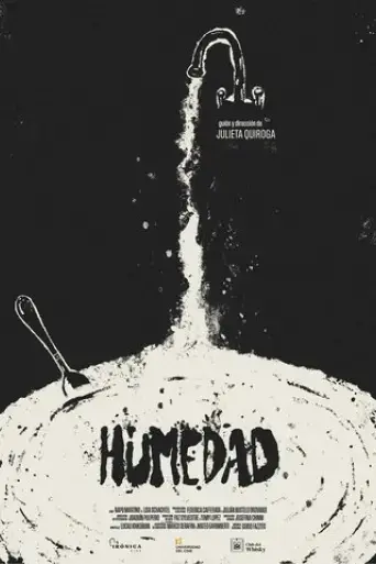 damp-2024