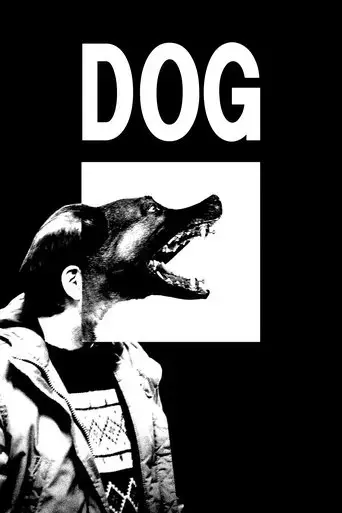 dog-2017