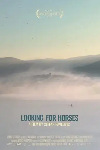 looking-for-horses-2021
